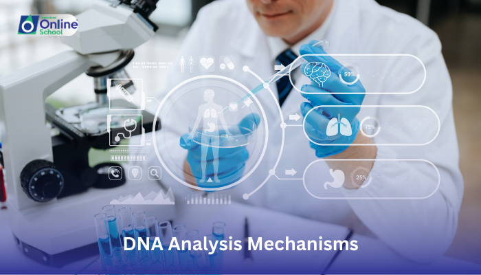 Lesson 13: Describing DNA Analysis Mechanisms